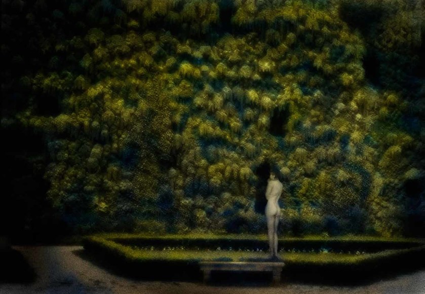 Black Garden, 2015