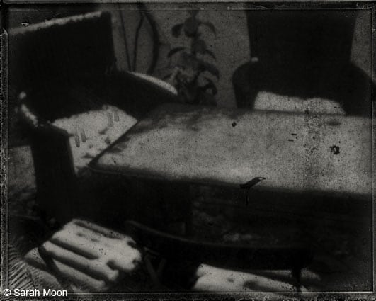 Le Jardin Gele, 2011, 15-3/4 x 19-1/2 Toned Silver Gelatin Photograh, Ed. 20