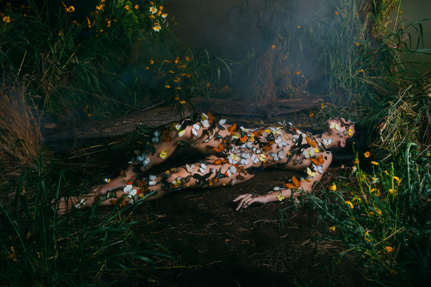 Alex Stoddard, Metamorphosis Interrupted I,&nbsp; 2017