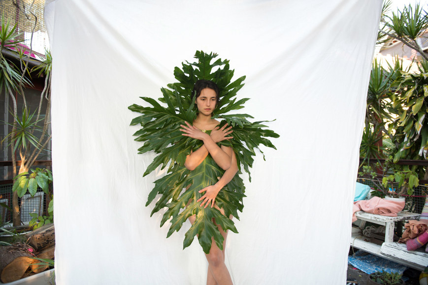 Prue Stent & Honey Long, Venus Fly Trap, 2014
