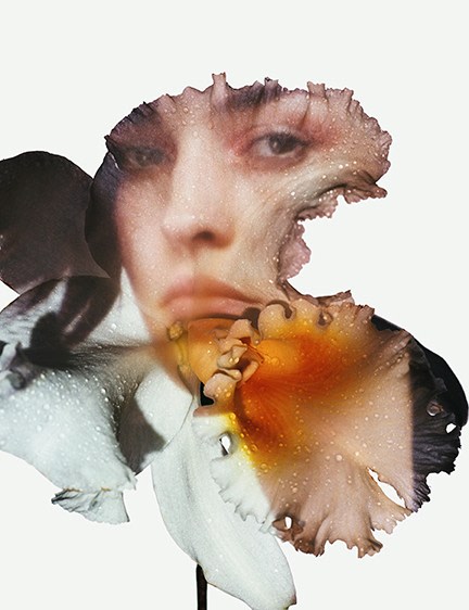 Melvin Sokolsky Flower Gaze, New York, 2002
