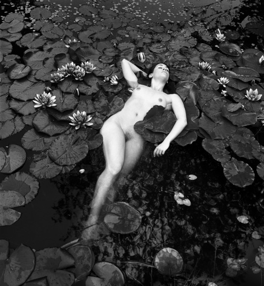 Flor Garduno