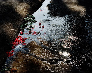 David Drebin