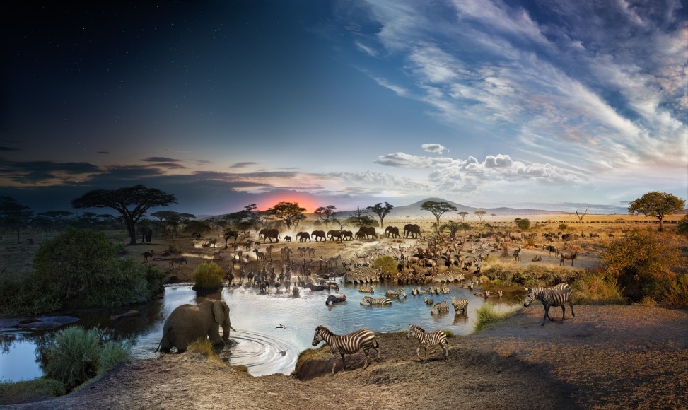 Serengeti National Park, Tanzania, 2015, C-Type Print