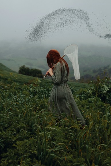 Murmurations, 2017, Archival Pigment Print