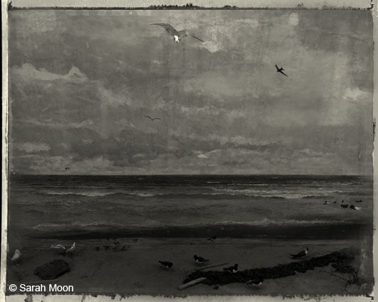 Les Oiseaux de Stockholm, 2011, 15-3/4 x 19-1/2 Toned Silver Gelatin Photograh, Ed. 20