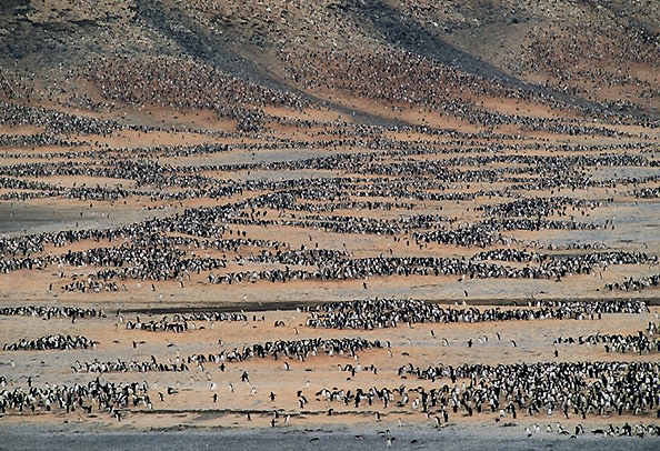 Pat and Rosemarie Keough
