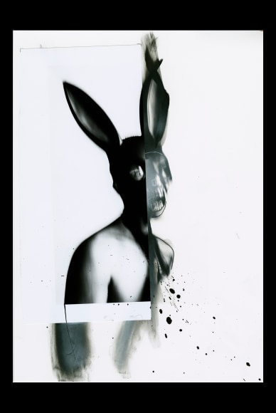 &ldquo;Its just a Rabbit #2&rdquo;