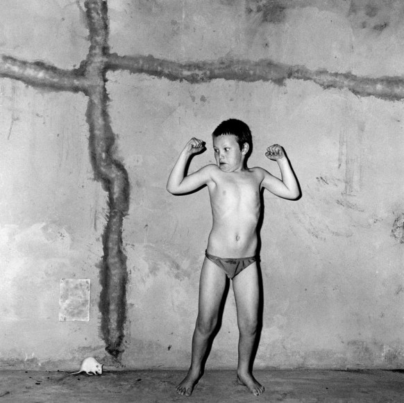 Face Off, 2001, Silver Gelatin Photograph