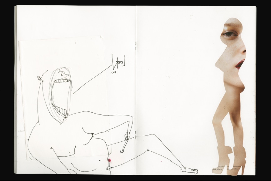 &quot;Look!&quot;, Archival Pigment Print, Combined Ed. of 15