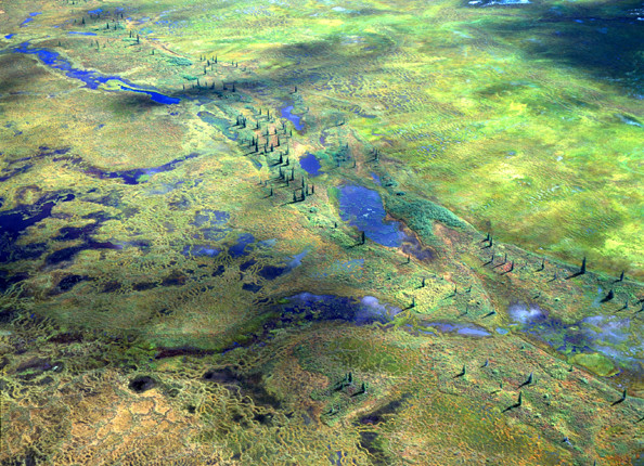 Robert Glenn Ketchum