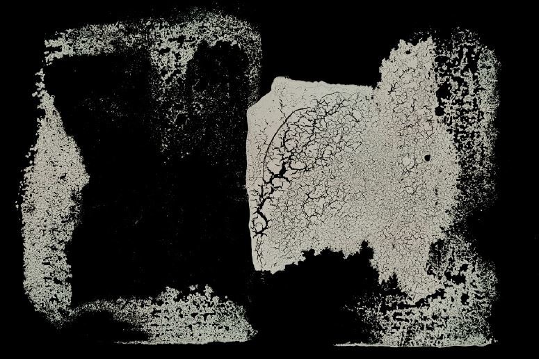 Remission, 2019, Archival Pigment Print