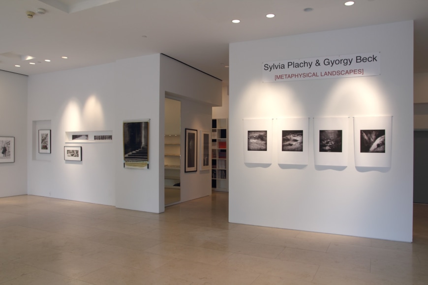 Sylvia Plachy & Gyorgy Beck