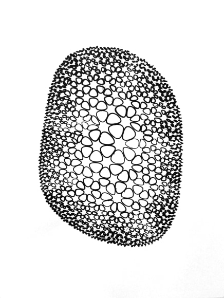 Andrew Kudless