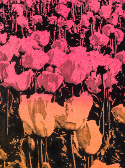 The Sun Was Sinking, 2017