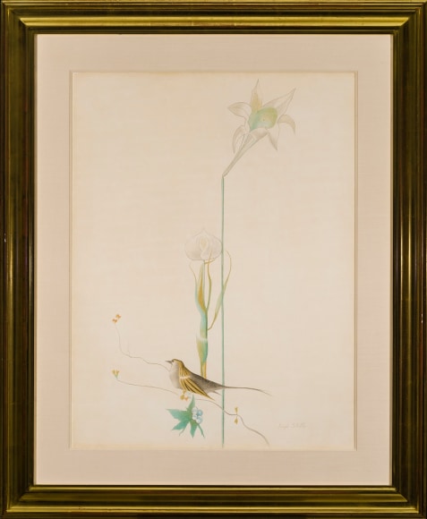Joseph Stella (1877&ndash;1946). Lily and Bird, about 1919. Silverpoint and colored pencil on paper, 29 x 23 in.