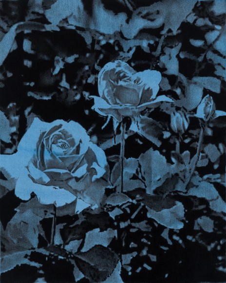 Rose Garden No. 2, 2017