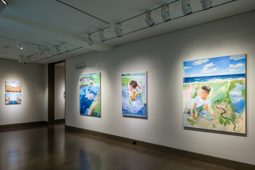 installation view of James Everett Stanley "From the narrow place" at Hirschl & Adler Modern, New York