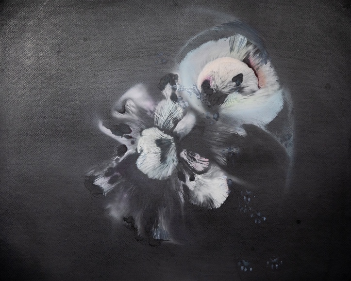a drawing by Lily Cox-Richard on black paper made with mushroom spores and shimmery, translucent pigment