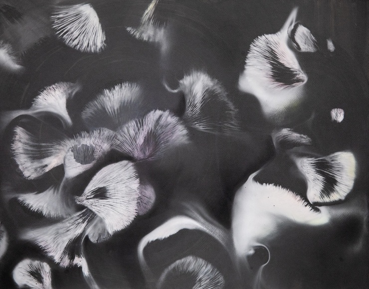 a drawing by Lily Cox-Richard on black paper made with mushroom spores and shimmery, translucent pigment