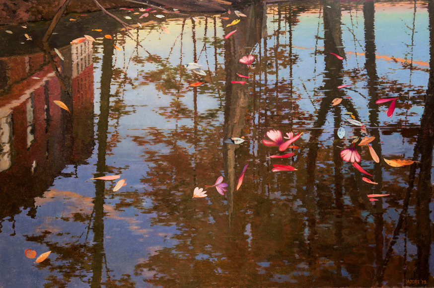 flower petals floating on a river