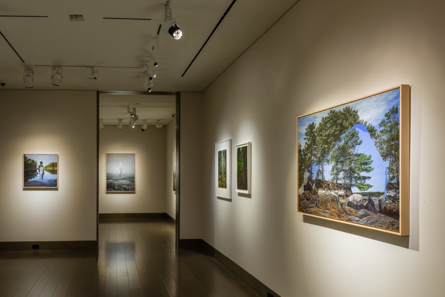 Colin Hunt, The Land is a Body, installation