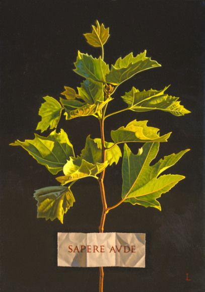 Sapere Aude, 2015, Oil on canvas, 20 x 14 inches