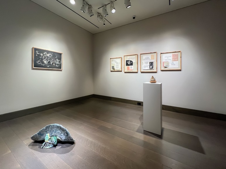 installation view of Lily Cox-Richard's solo exhibition, &quot;Soft Fists Insist,&quot; at Hirschl &amp; Adler Modern, New York