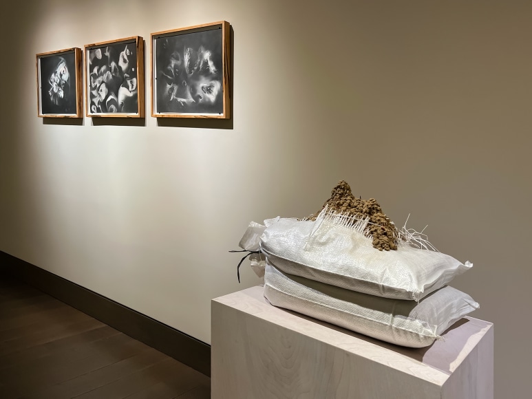 installation view of Lily Cox-Richard's solo exhibition, &quot;Soft Fists Insist,&quot; at Hirschl &amp; Adler Modern, New York