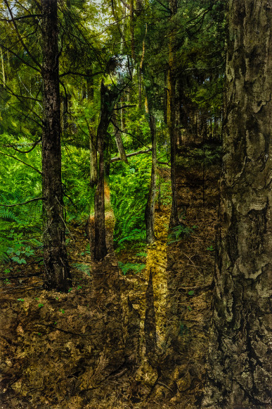 Colin Hunt (b. 1973), Many Worlds Interpretation (H.C.H.C.E.d), 2021, Watercolor on paper, 22 x 15 in.