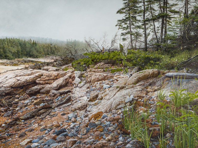 Colin Hunt (b. 1973), Untitled (Fallen Spruce), 2022, Egg tempera on panel, 54 x 72 in.