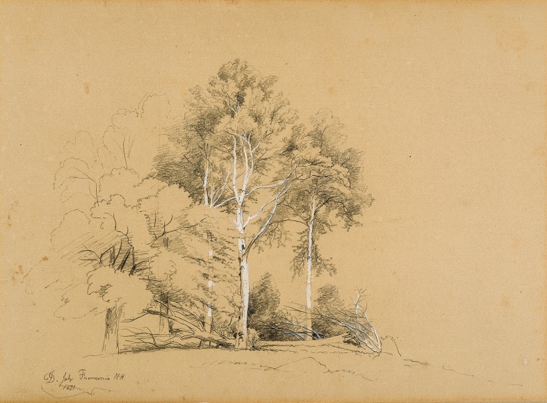 David Johnson (1827&ndash;1908)