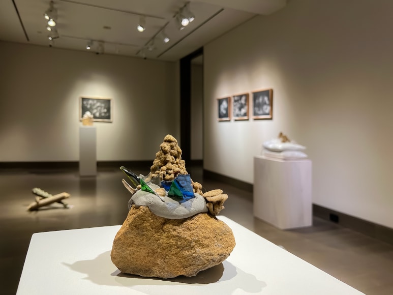 installation view of Lily Cox-Richard's solo exhibition, &quot;Soft Fists Insist,&quot; at Hirschl &amp; Adler Modern, New York