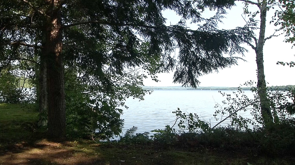 a video projection of a lakeside with accompanying small sculptures by Maria Elena Gonzalez