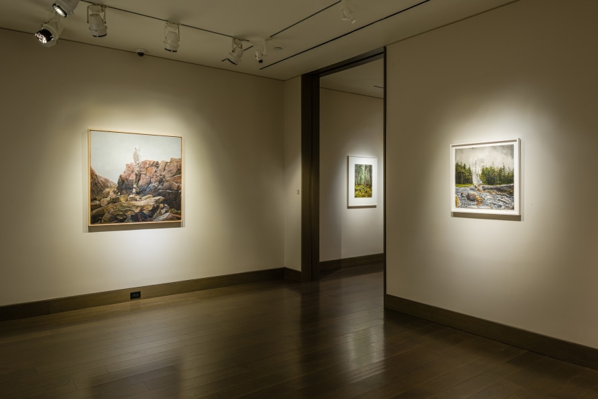 Colin Hunt, The Land is a Body, installation