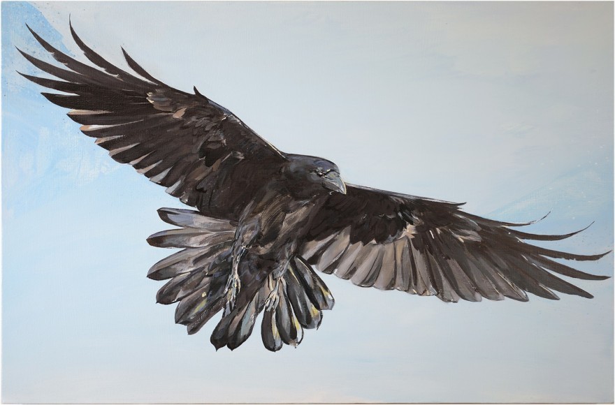 a painting by James Everett Stanley of a raven flying