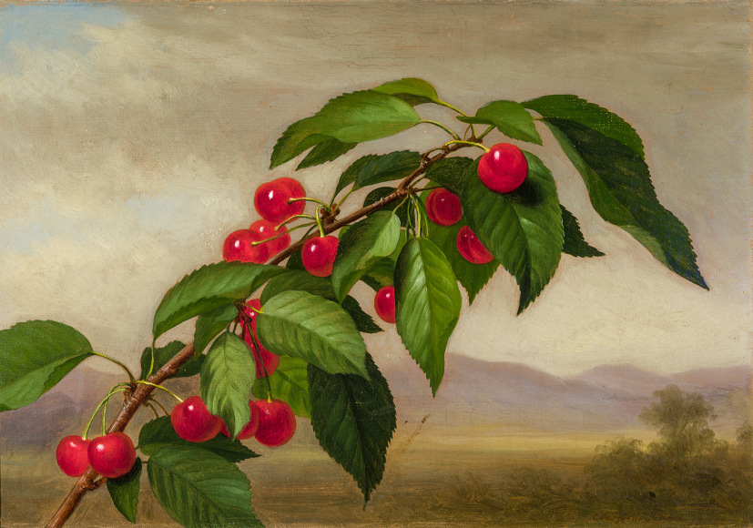 GEORGE HENRY HALL (1825&ndash;1913), &quot;Branch of Cherries,&quot; 1875. Oil on canvas, 10 3/8 x 15 in.