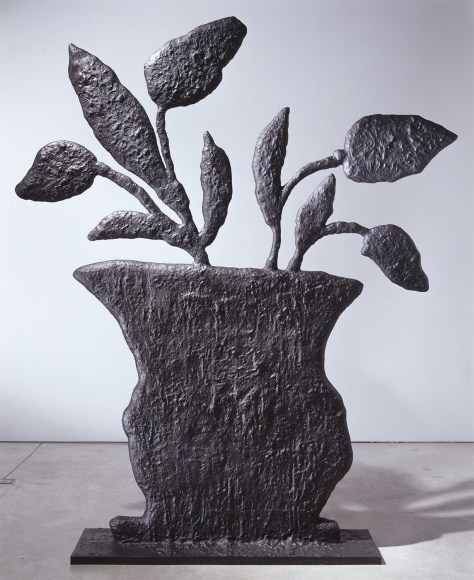 Donald Baechler , Plant