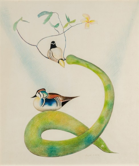 JOSEPH STELLA (1877–1946), "Two Wood Ducks on a Flowering Branch," about 1920–25. Pencil, crayon, and colored pencil on paper, 25 3/4 x 22 1/4 in.