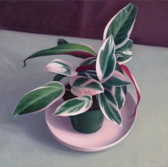 a still-life painting by Amy Weiskopf of pink and green plant on a pink plate