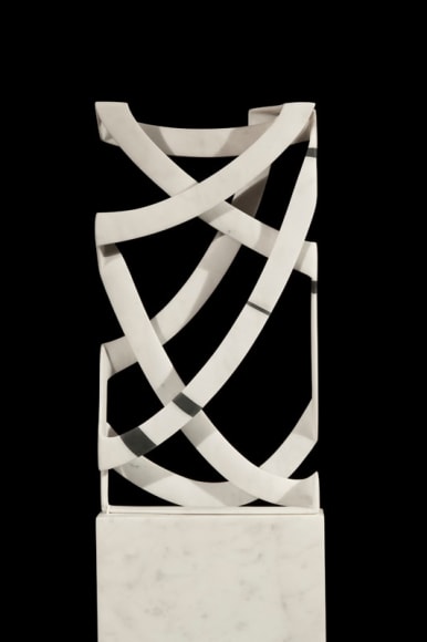 Elizabeth Turk (b. 1961), Cage: Black Banded Box 4, 2014