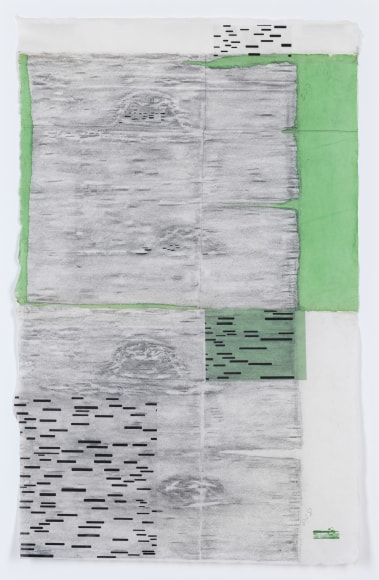 a rubbing by Maria Elena Gonzalez of a birch tree with green vellum added as collage