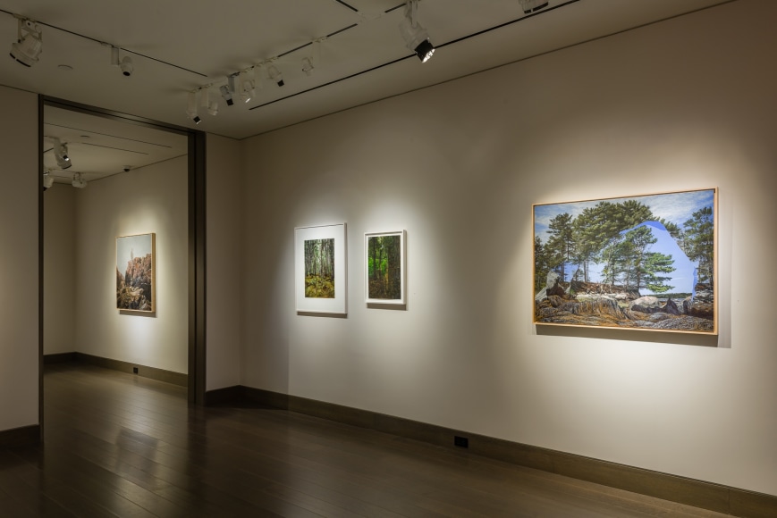 Colin Hunt, The Land is a Body, installation