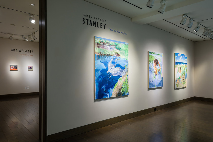 installation view of James Everett Stanley "From the narrow place" at Hirschl & Adler Modern, New York