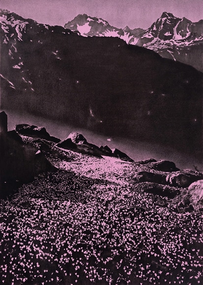 Convincing Us That the Desert Was a Starscape, 2016