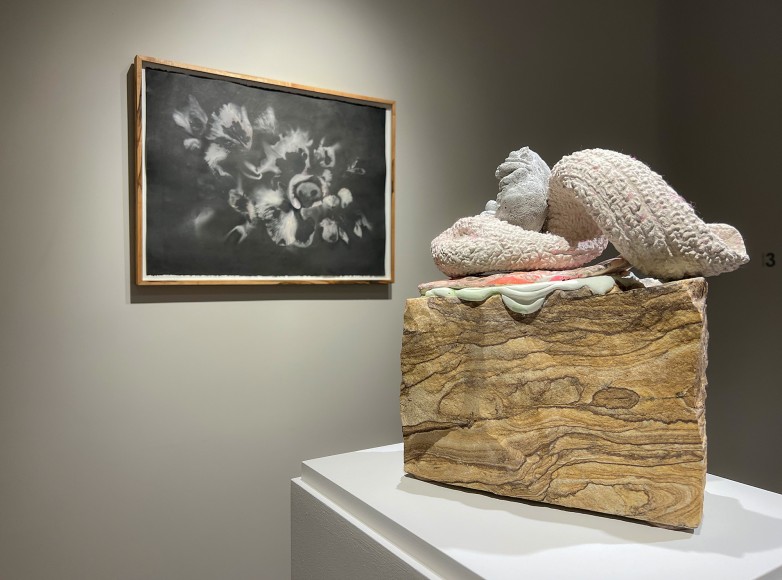 installation view of Lily Cox-Richard's solo exhibition, &quot;Soft Fists Insist,&quot; at Hirschl &amp; Adler Modern, New York