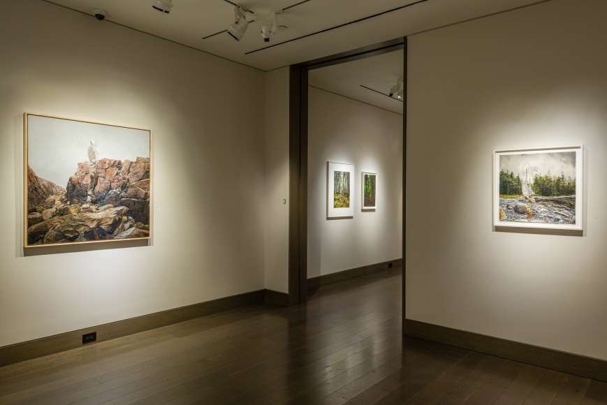 Colin Hunt, The Land is a Body, installation