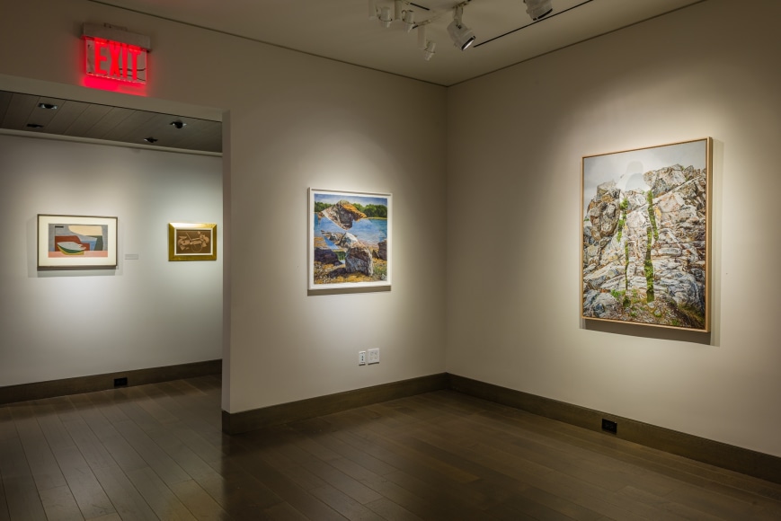 Colin Hunt, The Land is a Body, installation