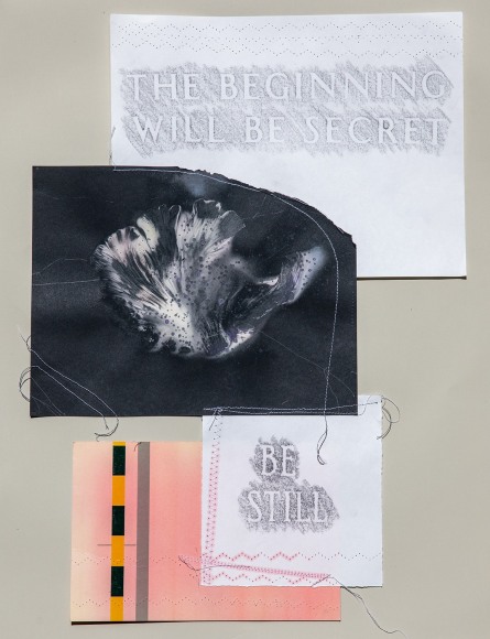 a sewn-paper collage by Lily Cox-Richard made with rubbings of text, spore prints and colorful, waxy papers
