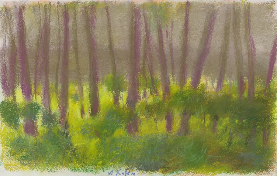 landscape with trees